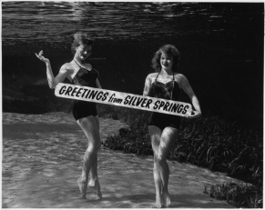 Bruce Mozert - Silver Springs